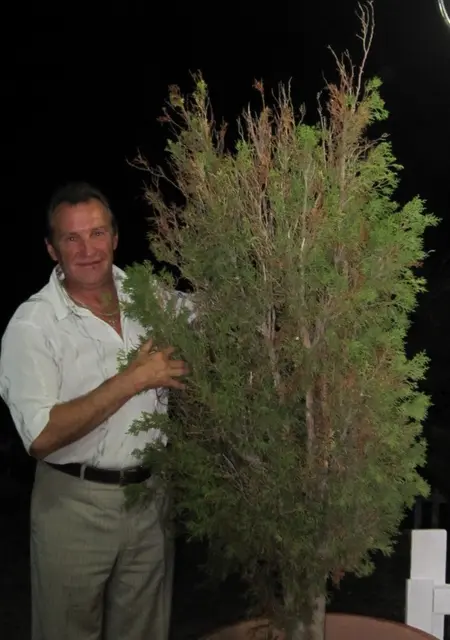 Сергей из Павловского Посада, мне 64, познакомлюсь на одну ночь