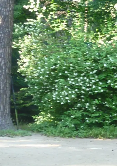 Я Alec, 50, знакомлюсь без обязательств в Раменском