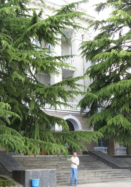 Я Жорж, 69, из Воронежа, ищу знакомство для дружбы