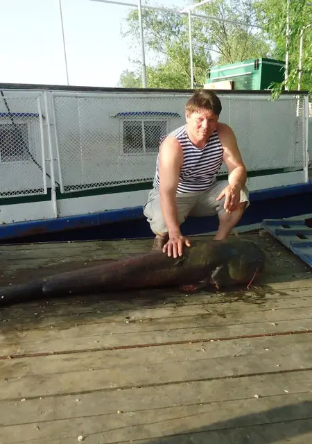 Дмитрий из Калининграда, мне 61, познакомлюсь без обязательств