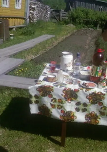 Владимир из Няндомы, ищу на сайте знакомства на одну ночь