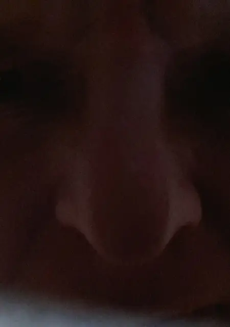 Я Rembo, 41, знакомлюсь на одну ночь в Дальнереченске