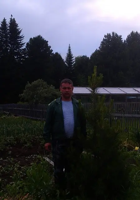 Я Dimasov, 53, знакомлюсь для дружбы в Томске