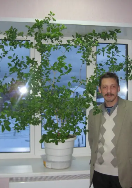 Я Dbrnjh, 51, из Тазовского, ищу знакомства без обязательств