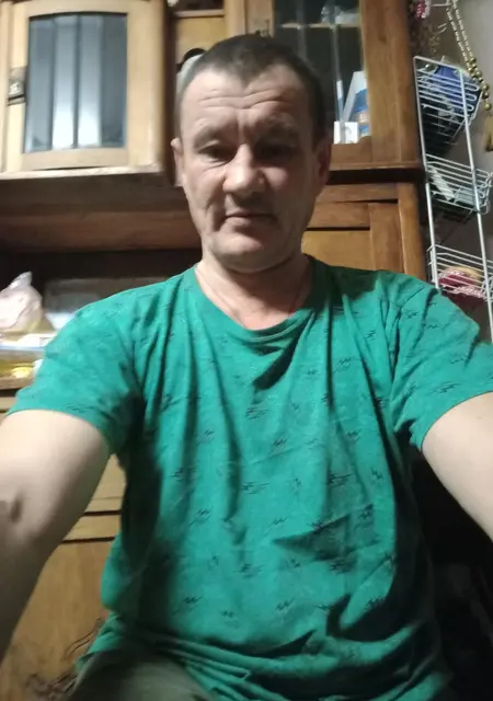 Я Владимир, 51, знакомлюсь для постоянных отношений в Губкине