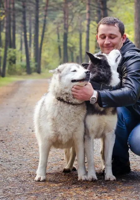 Андрей из Кирова, ищу на сайте знакомства на одну ночь