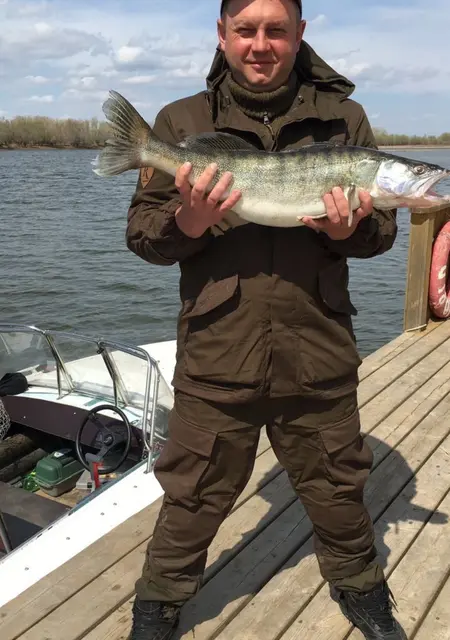 Я Сергей, 47, из Брянска, ищу знакомство для общения