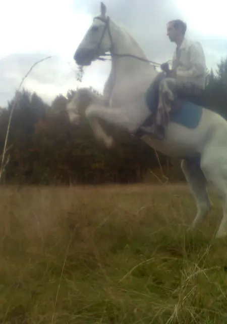 Ivanushka из Зеленограда, ищу на сайте знакомства на одну ночь