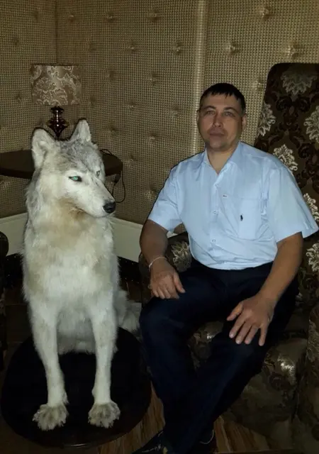 Ветер из Нягани, ищу на сайте общение