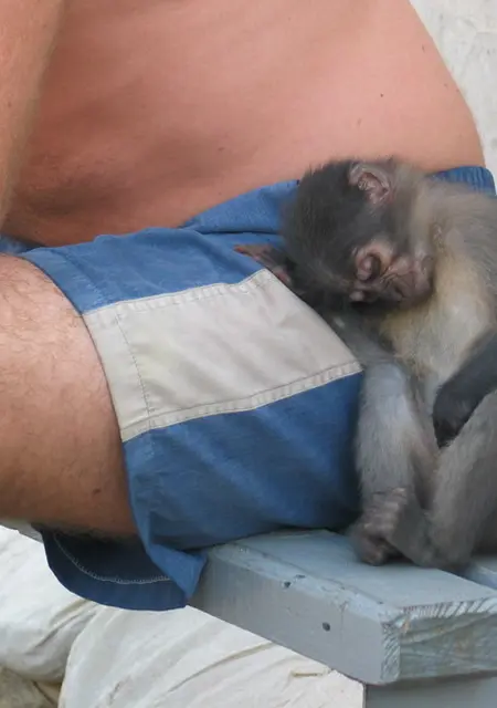 Серж з Бердичів, шукаю на сайті вірт