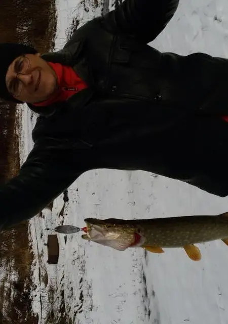 Алекс из Воронежа, мне 50, познакомлюсь без обязательств