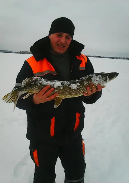 Я Никола, 41, из Пскова, ищу знакомства без обязательств