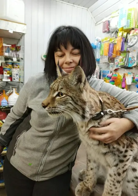 Я Анастасия, 44, из Краснодара, ищу знакомство для общения