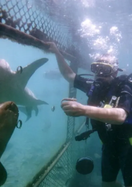 Я Виктор, 66, знакомлюсь без обязательств в Новороссийске