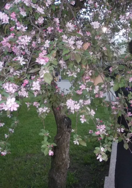 Я Виктория, 46, знакомлюсь для постоянных отношений в Донецке