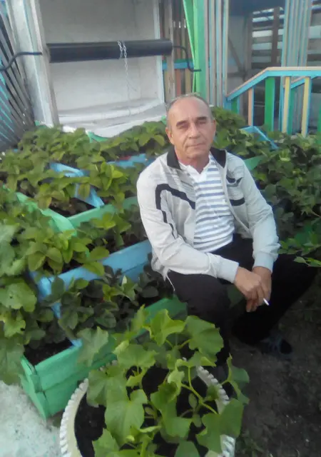 Владимир из Тюмени, ищу на сайте знакомства на одну ночь