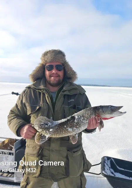 Я Сергей, 39, из Северодвинска, ищу знакомства без обязательств