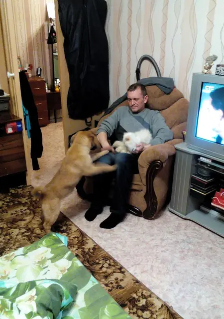 Я Владимир, 51, из Тутаева, ищу знакомство для постоянных отношений