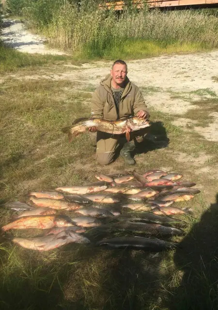 Алексей из Екатеринбурга, мне 45, познакомлюсь без обязательств