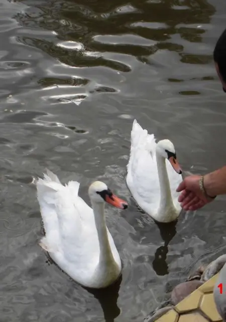 Артур из Бронниц, ищу на сайте знакомства без обязательств