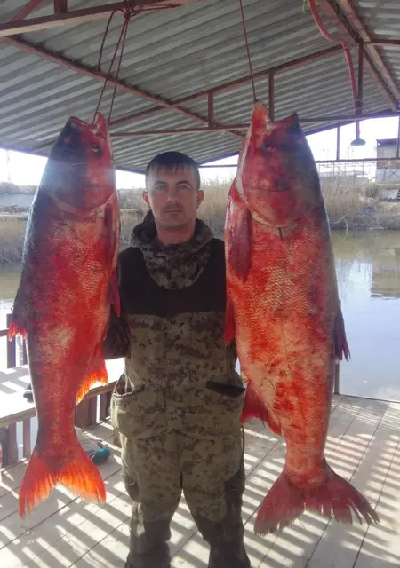 Я Андрей, 42, знакомлюсь для открытые отношения в Нефтекумске