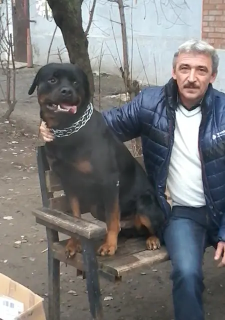 Олег из Таганрога, мне 61, познакомлюсь на одну ночь