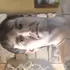 Артист из Минусинска, мне 41, познакомлюсь для вирта