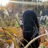 Я Алена, 38, знакомлюсь без обязательств в Барнауле